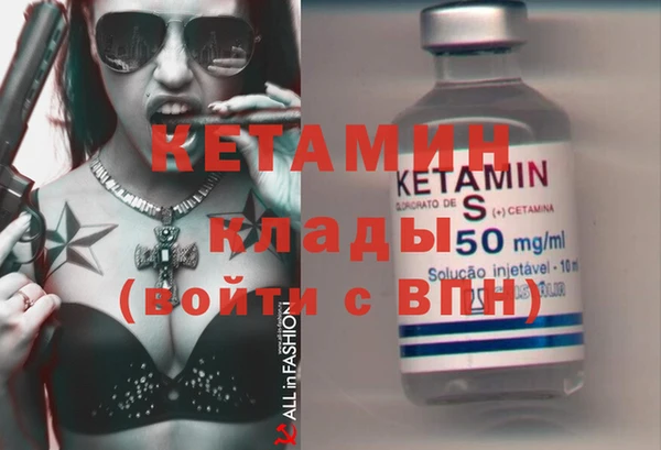 шишки Пестово